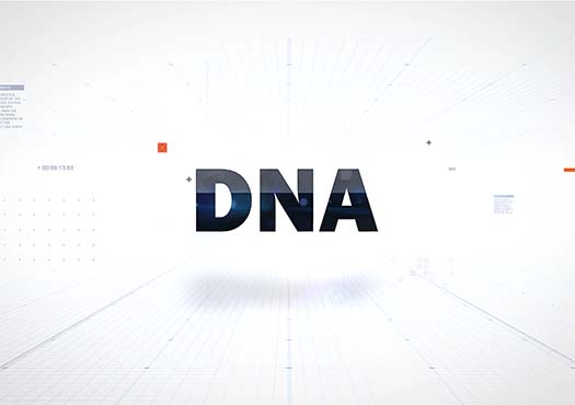 DNA - Website