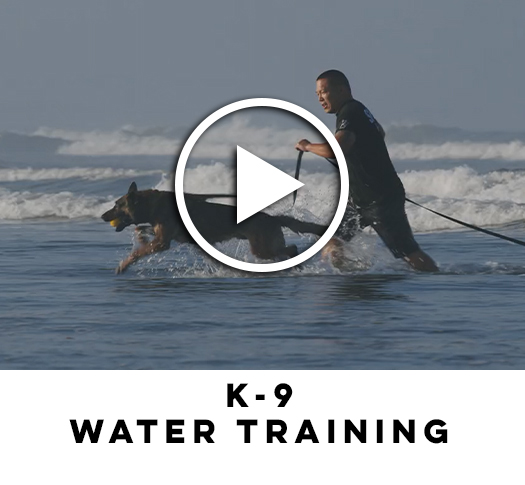 K-9 Water Training Play Button