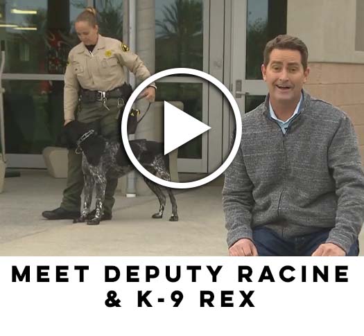 Meet Deputy Racine & K-9 Rex Play Button