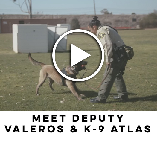 Meet Deputy Valeros & K-9 Atlas Play Button