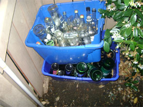 empty bottles in recycling bin